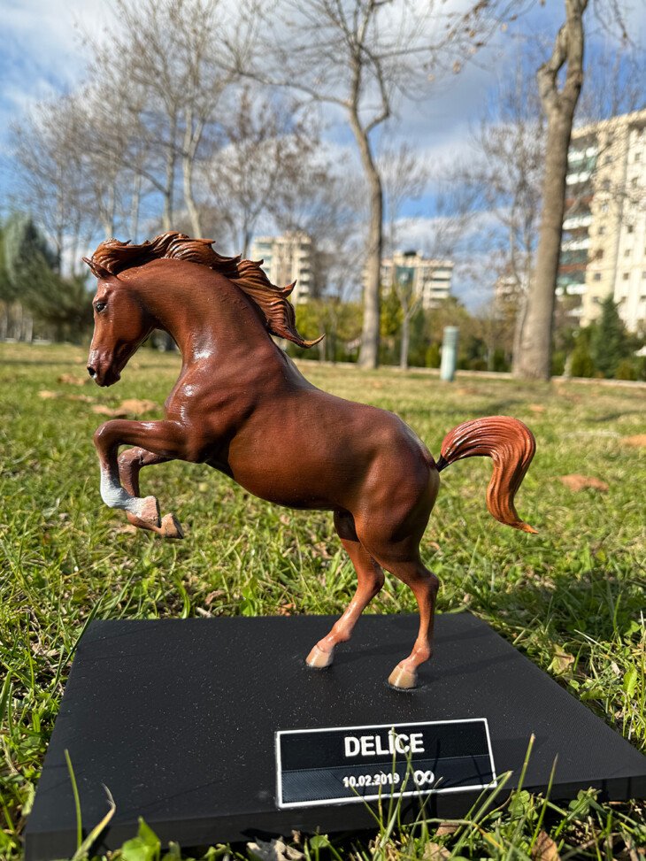 At Figürü - Görsel 11