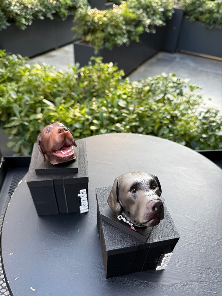 Köpek Büst