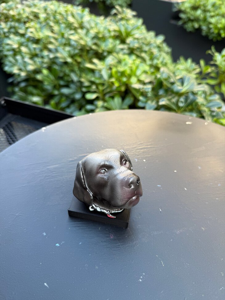 Köpek Büst - Görsel 6