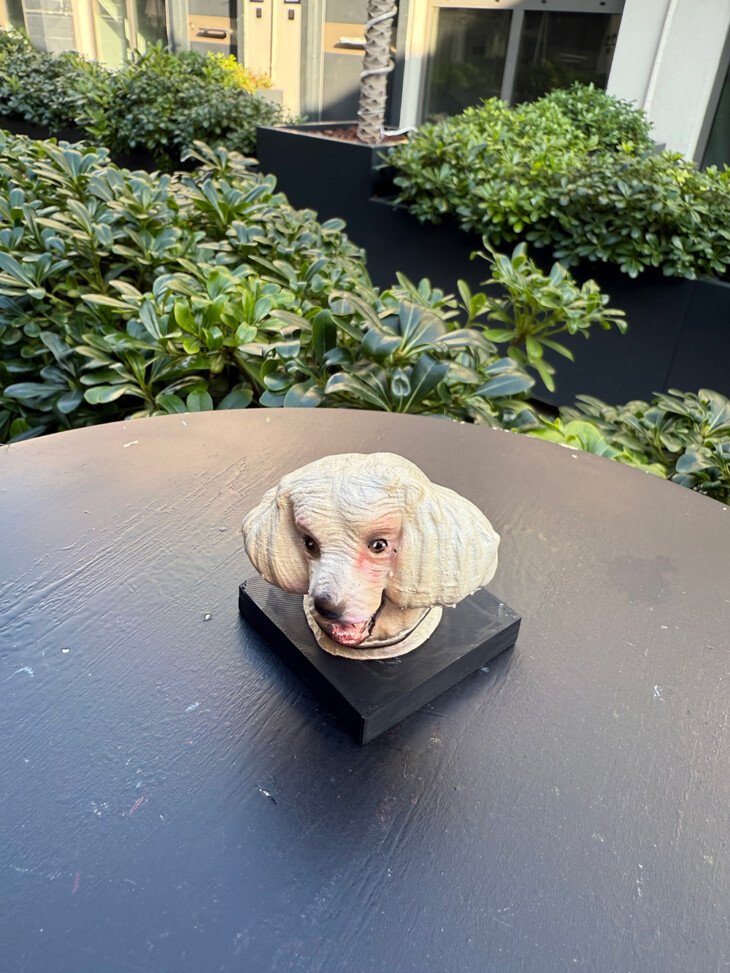 Köpek Büst - Görsel 4