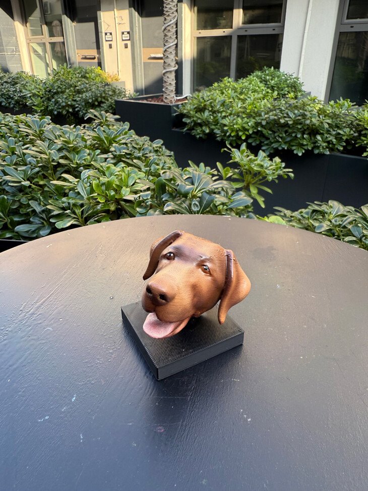 Köpek Büst - Görsel 5