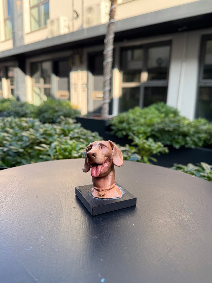 Köpek Büst - Görsel 3