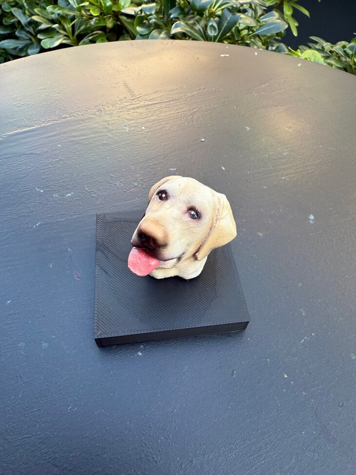 Köpek Büst - Görsel 2